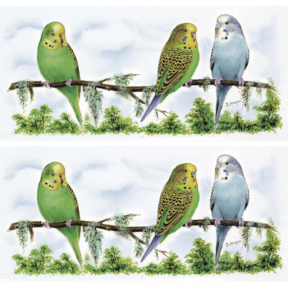 Parakeet Budgie Mug Wrap 2pcs 7.5 Inch Overglaze Waterslide Ceramic Decal
