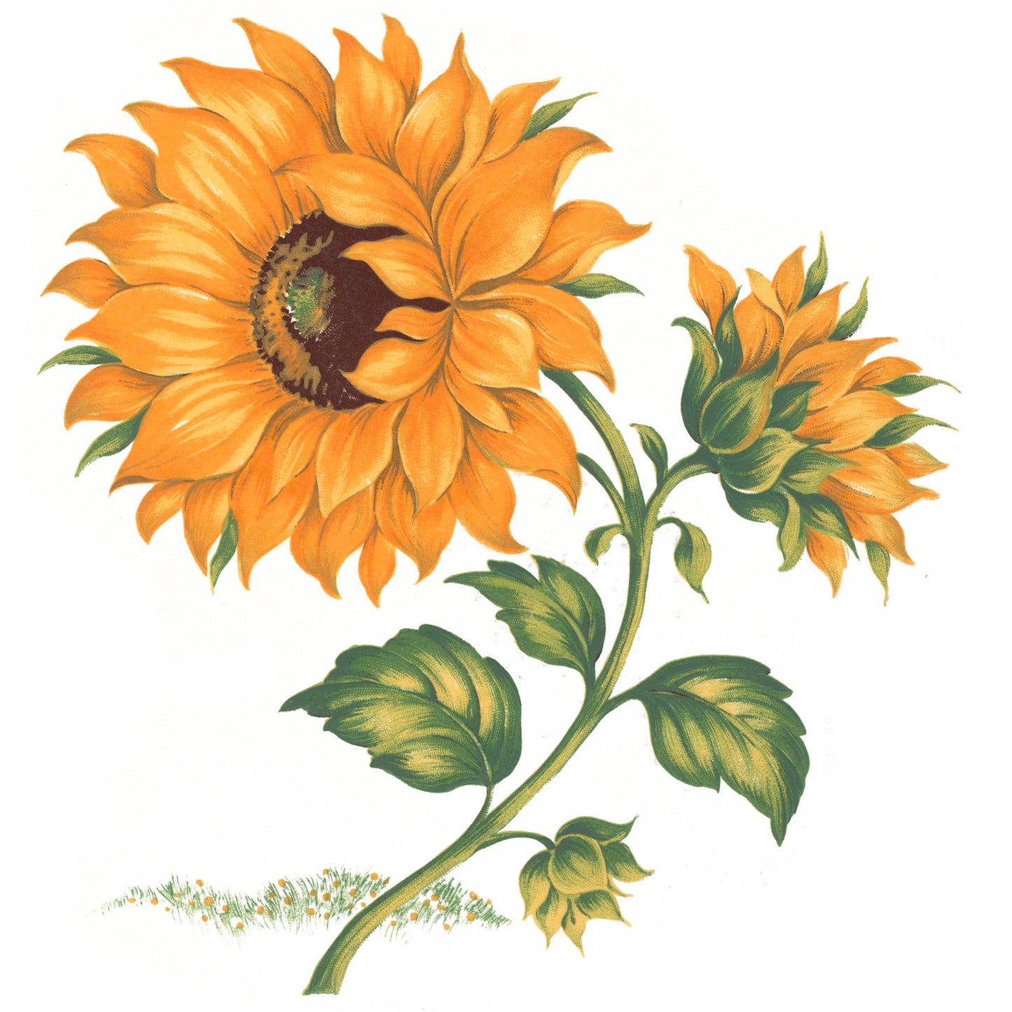 Yellow Sunflowers Flowers Overglaze Waterslide Ceramic Decals