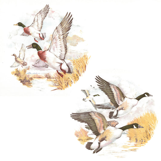 Mallard Ducks and Canadian Geese in Flight Overglaze Waterslide Ceramic Decal