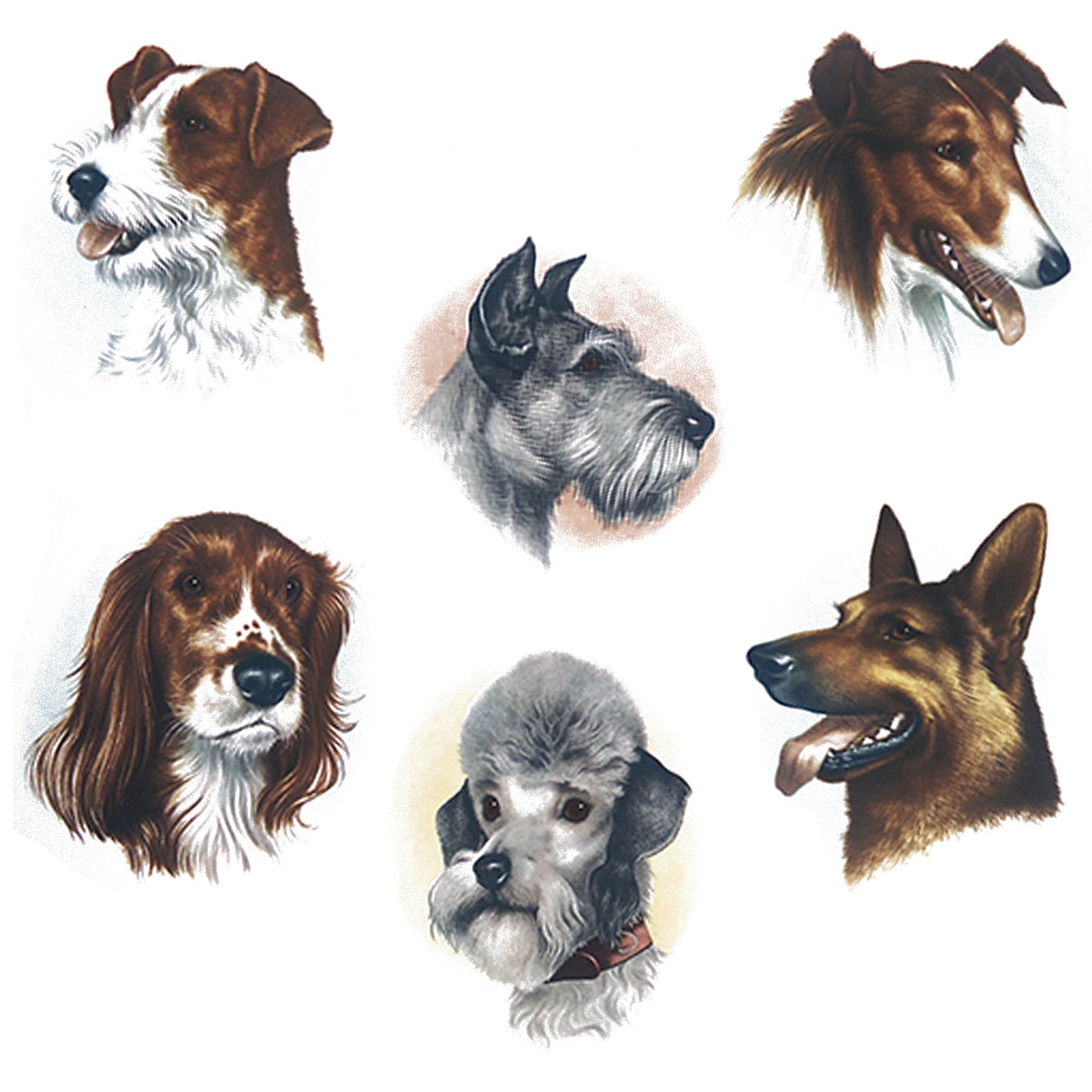 Dog Portrait Overglaze Ceramic Decals