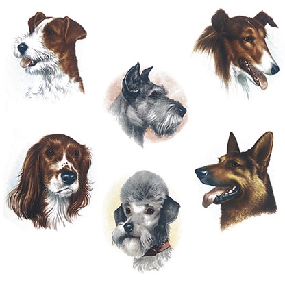 Dog Portrait Overglaze Ceramic Decals
