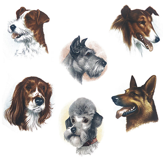 Dog Portrait Overglaze Ceramic Decals