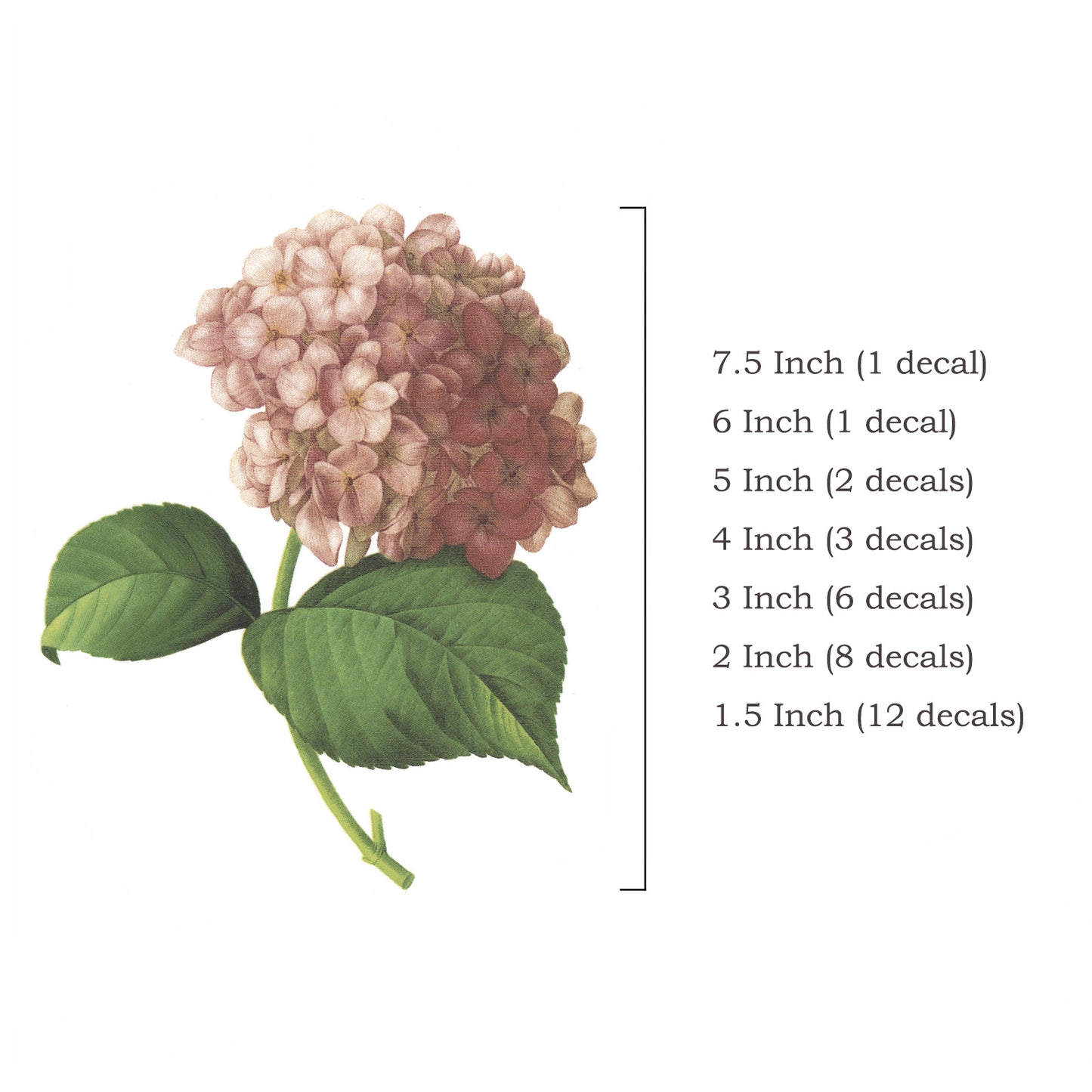 Pink Hydrangea Flowers Overglaze Waterslide Ceramic Decals