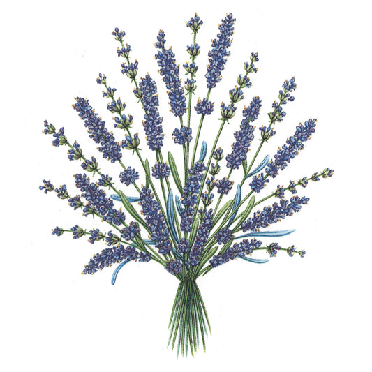 Flowers Lavender Overglaze Ceramic Decals