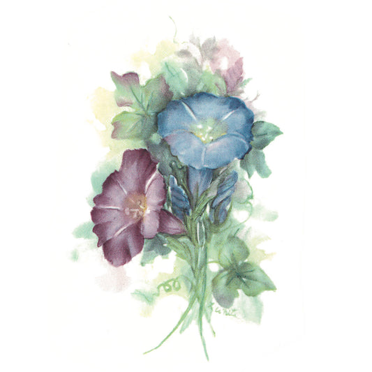 Flowers Morning Glory Overglaze Ceramic Decals