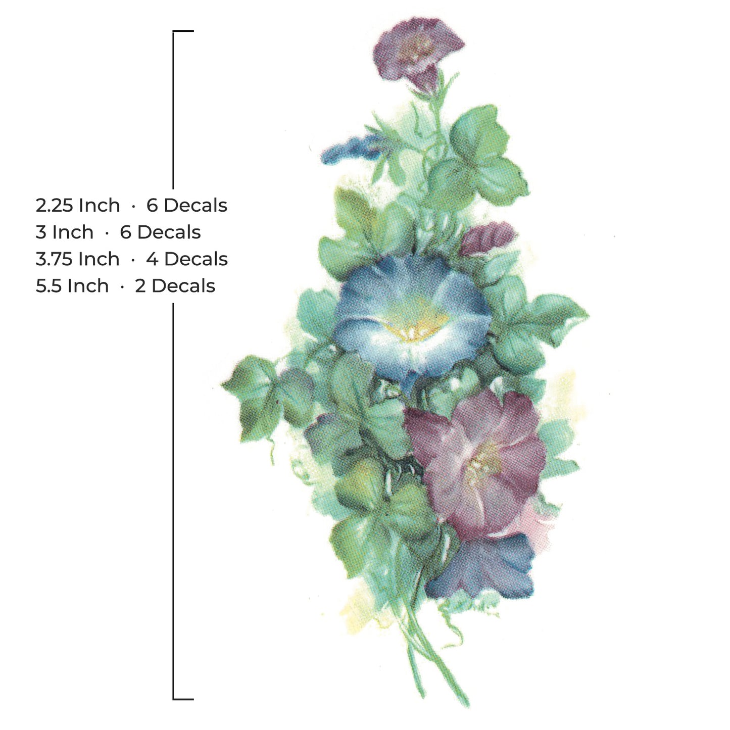 Flowers Morning Glory Overglaze Ceramic Decals