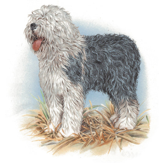 Sheepdog Overglaze Ceramic Decals