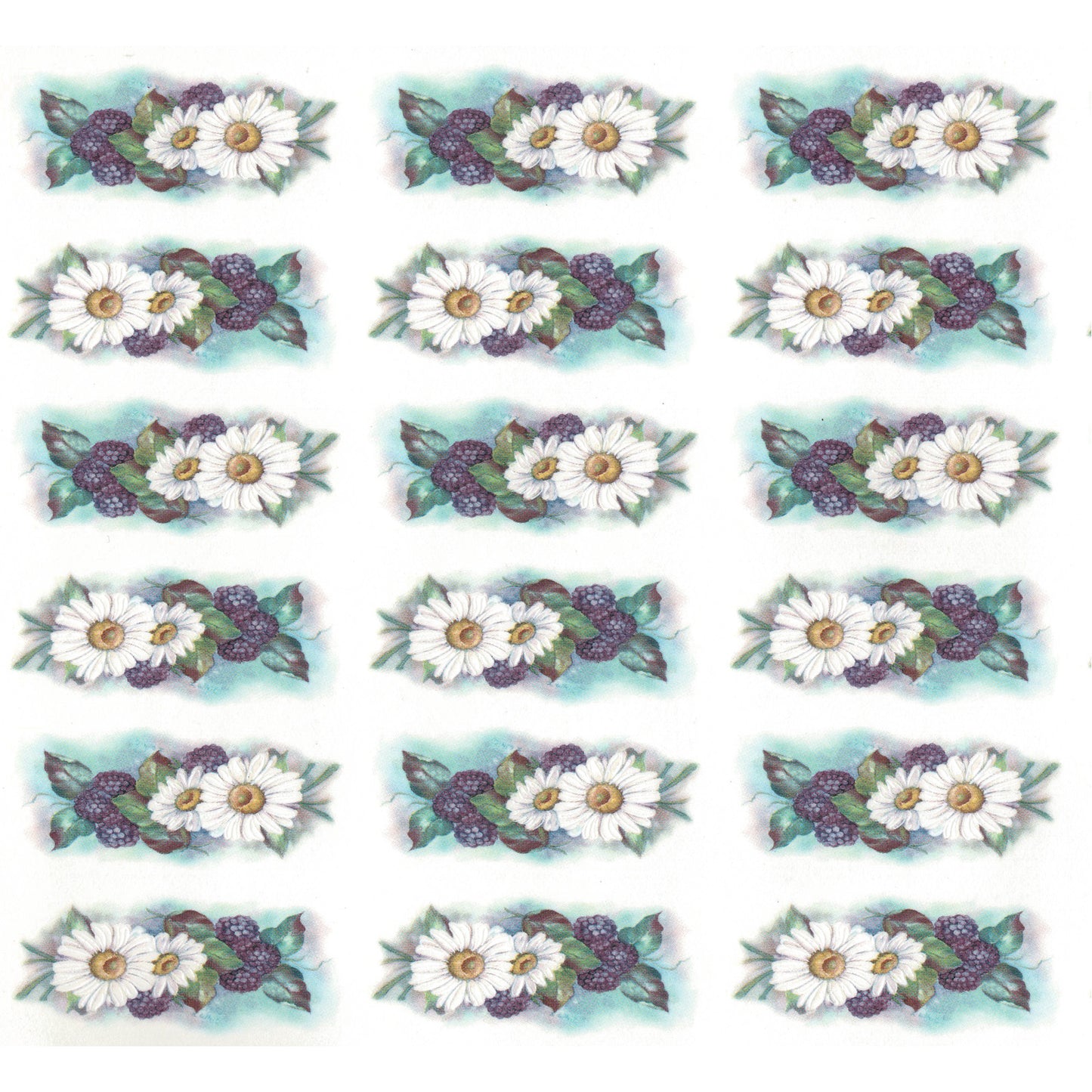 Blackberries and Daisies C Overglaze Waterslide Ceramic Decals
