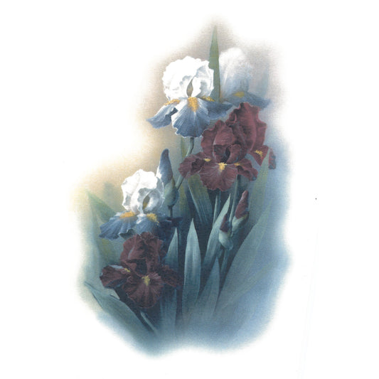 Flowers Iris Overglaze Ceramic Decals