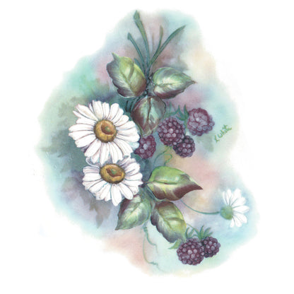 Blackberries and Daisy Flowers Overglaze Ceramic Decals