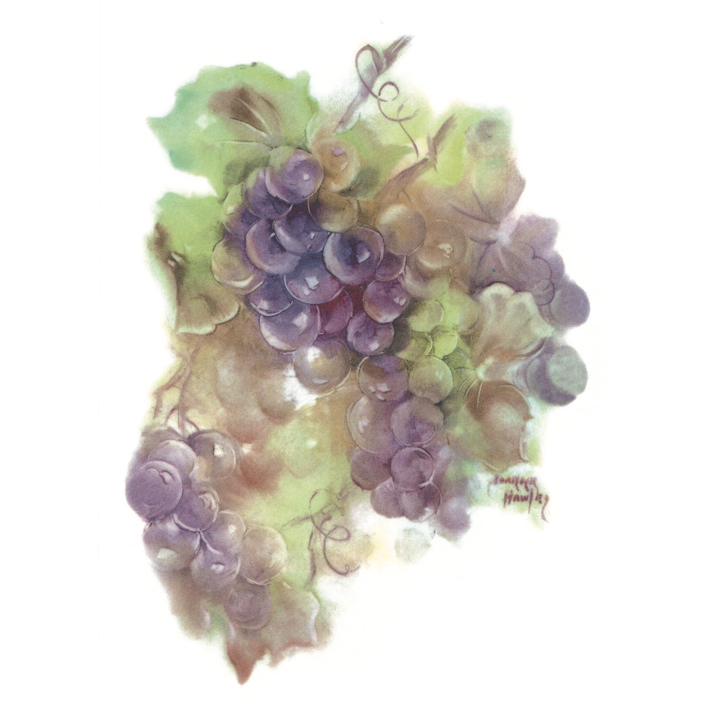 Joanne Hawley Grapes Overglaze Ceramic Decals