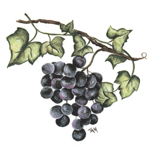 Purple Grape Cluster on the Vine Overglaze Ceramic Decals