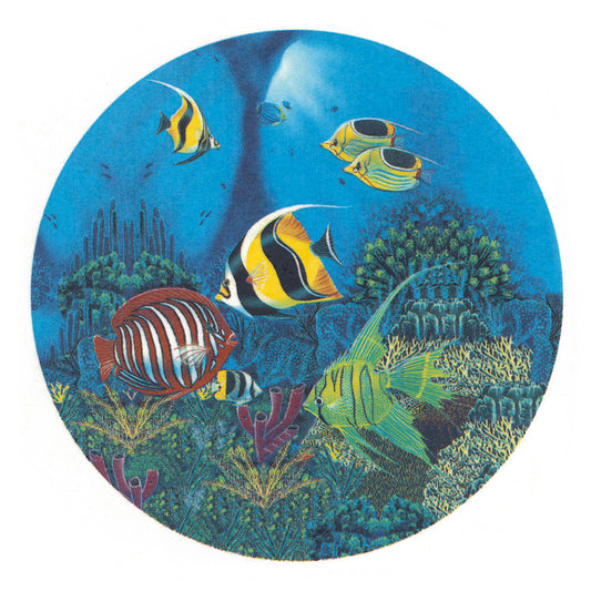 Fish Sea Tropical Ocean Overglaze Ceramic Decals