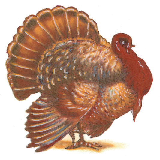 Thanksgiving Turkey Overglaze Ceramic Decals