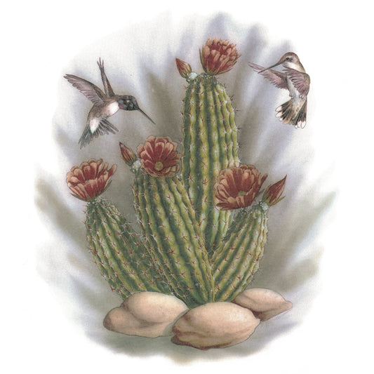 Hummingbird Cactus Overglaze Ceramic Decals