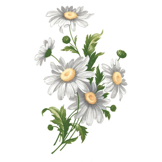 Flowers White Daisy Overglaze Ceramic Decals