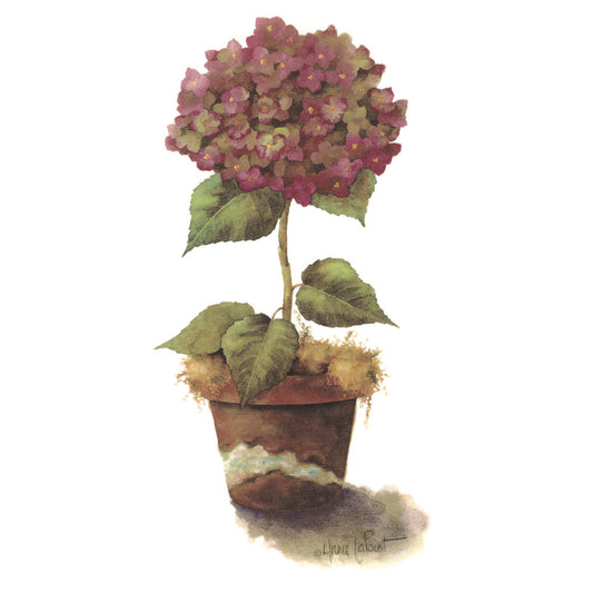 Topiary Terra Cotta Overglaze Ceramic Decals