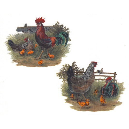 Barnyard Rooster Set Clear Sky Overglaze Waterslide Ceramic Decal