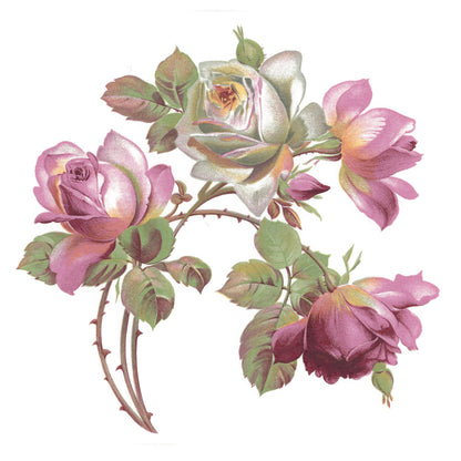 Flowers Roses Geraldine Pink White Overglaze Ceramic Decals