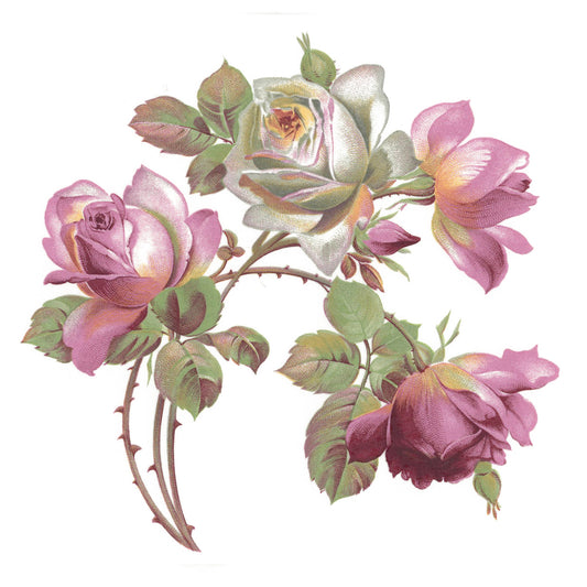 Flowers Roses Geraldine Pink White Overglaze Ceramic Decals