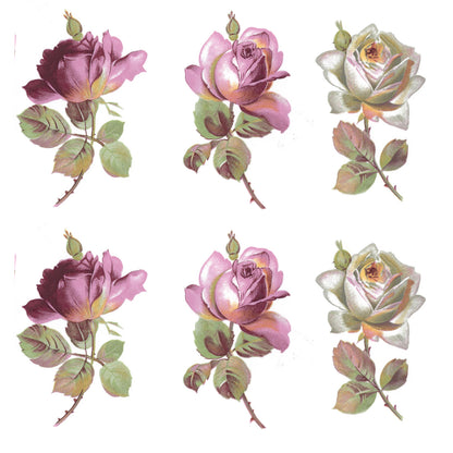 Flowers Roses Geraldine Pink White Overglaze Ceramic Decals