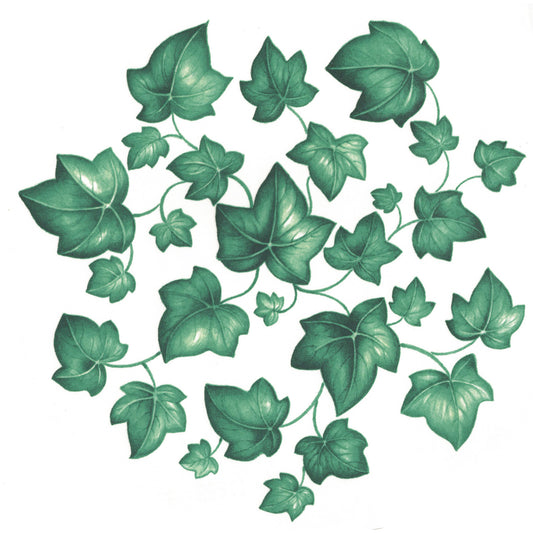 Ivy Overglaze Ceramic Decals