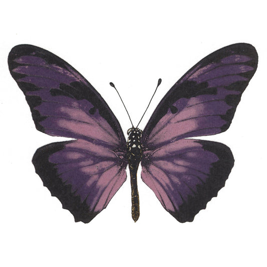 Vibrant Purple Butterfly Select-A-Size Overglaze Waterslide Ceramic Decals