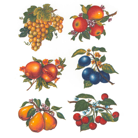 Fruit Grapes Plums Cherries Pears Overglaze Ceramic Decals