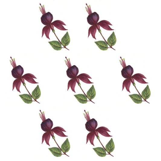 Fuchsia Mrs Popple Bits Overglaze Ceramic Decals