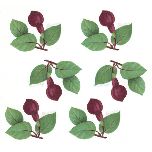 Fuchsia Nautilus Flowers Bits Overglaze Ceramic Decals