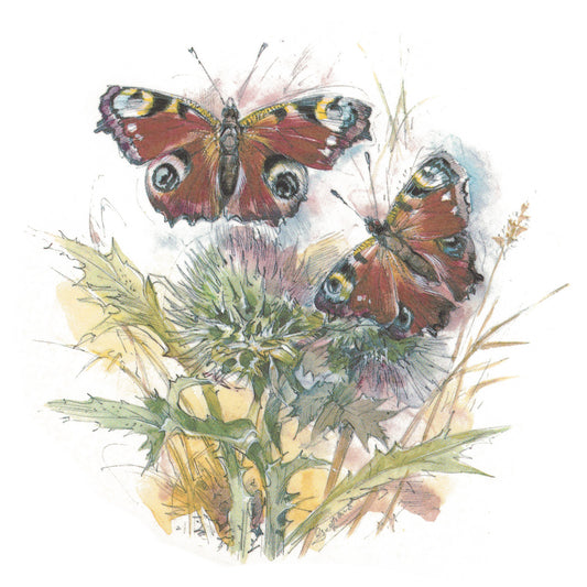 Butterfly Butterflies Overglaze Ceramic Decals