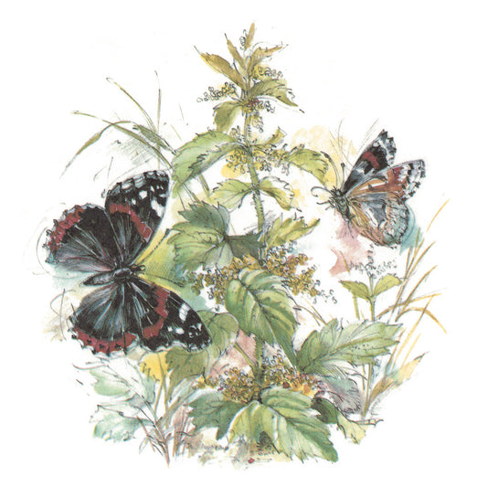 Butterflies and Irises Overglaze Ceramic Decals