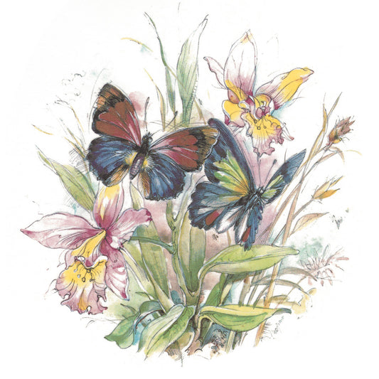 Butterflies Butterfly Iris Overglaze Ceramic Decals