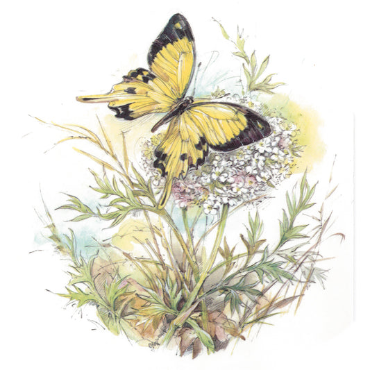 Butterflies and Hydrangea Overglaze Ceramic Decals