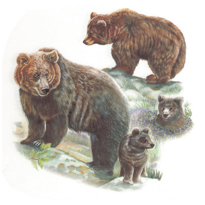 Brown Bears Overglaze Ceramic Decals