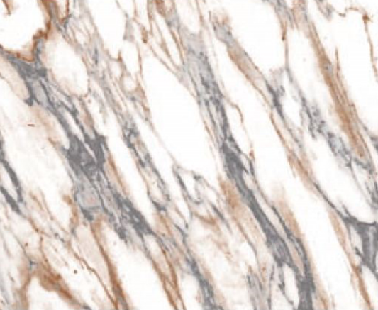 Allover Chintz Gray Brown Marble 9 x 13.5 Inch Overglaze Ceramic Decal Sheet