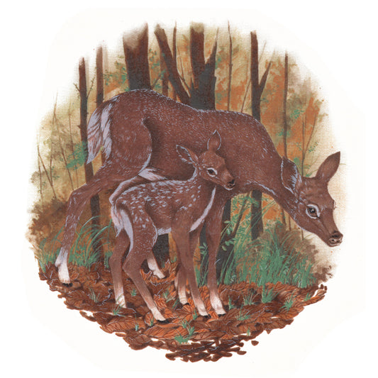 Deer Doe Fawn in the Forest 10 Inch A1 Overglaze Ceramic Decals