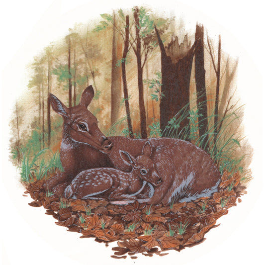 Deer Doe Fawn in the Forest 10 Inch Style A2 Overglaze Ceramic Decals