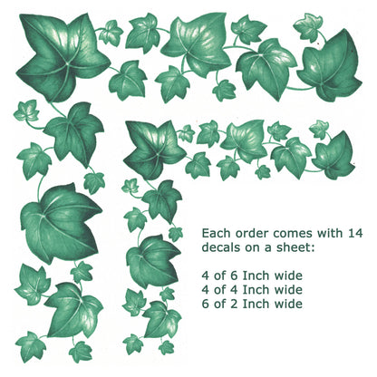 Ivy Borders 14 pc Set Overglaze Waterslide Ceramic Decals