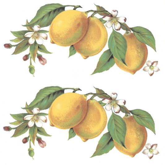 Lemons on the Branch Style D Overglaze Waterslide Ceramic Decal