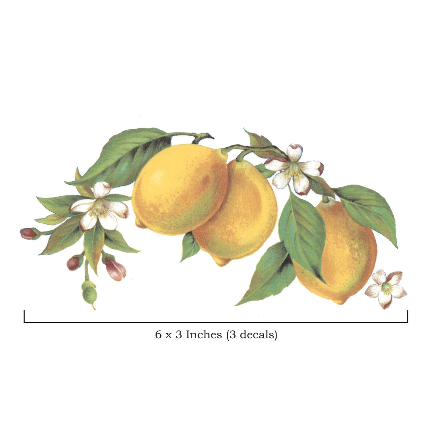 Lemons on the Branch Style D 6 Inch 3 pcs Overglaze Waterslide Ceramic Decal