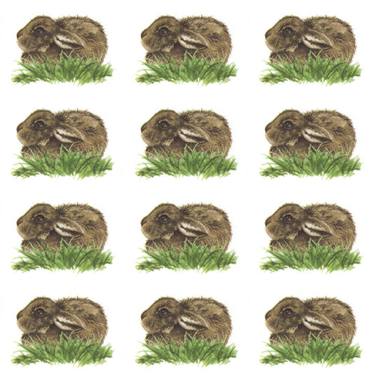 Brown Baby Bunny Rabbit Overglaze Waterslide Ceramic Decals