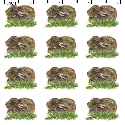 Brown Baby Bunny Rabbit Overglaze Waterslide Ceramic Decals