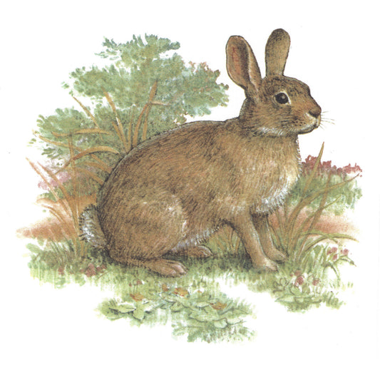 Brown Bunny Rabbit Overglaze Waterslide Ceramic Decals