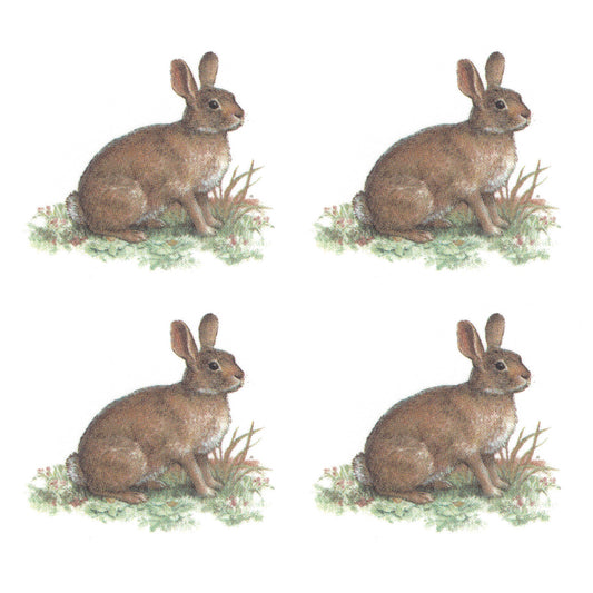 Brown Bunny Rabbit without Background Overglaze Waterslide Ceramic Decals