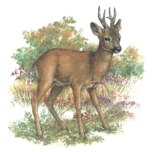 Roe Deer in the Field Overglaze Waterslide Ceramic Decals