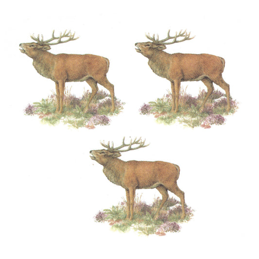 Red Deer Stag in the Field Overglaze Waterslide Ceramic Decals