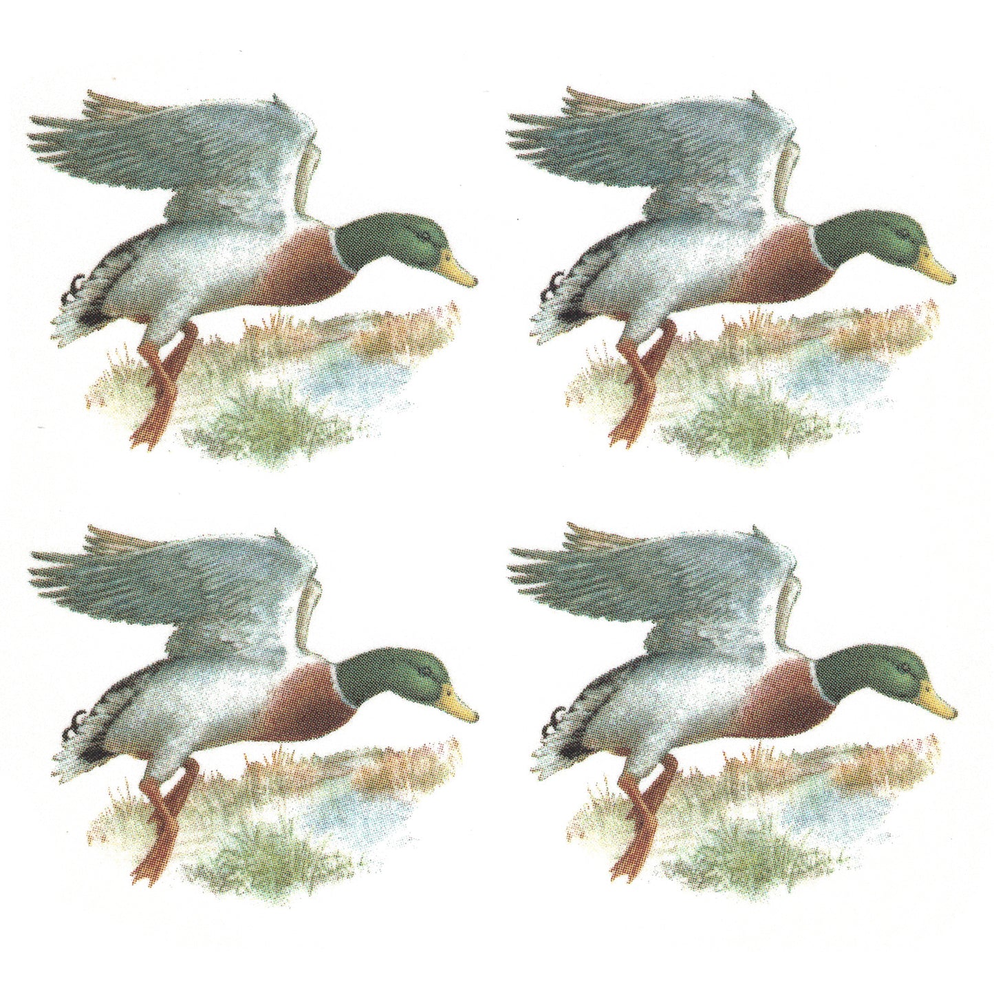 Mallard Duck in the Field Overglaze Waterslide Ceramic Decals