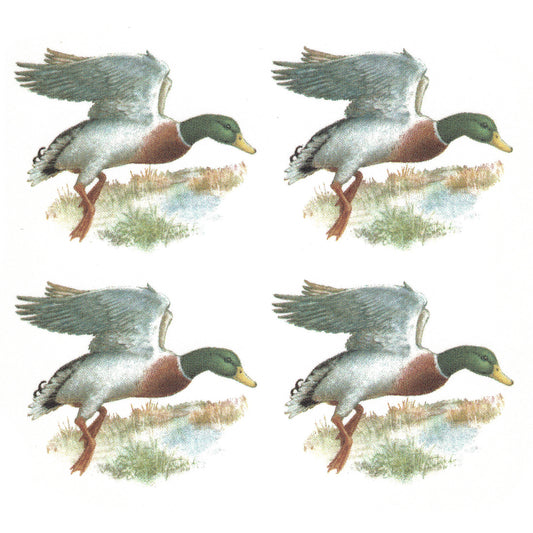 Mallard Duck in the Field Overglaze Waterslide Ceramic Decals