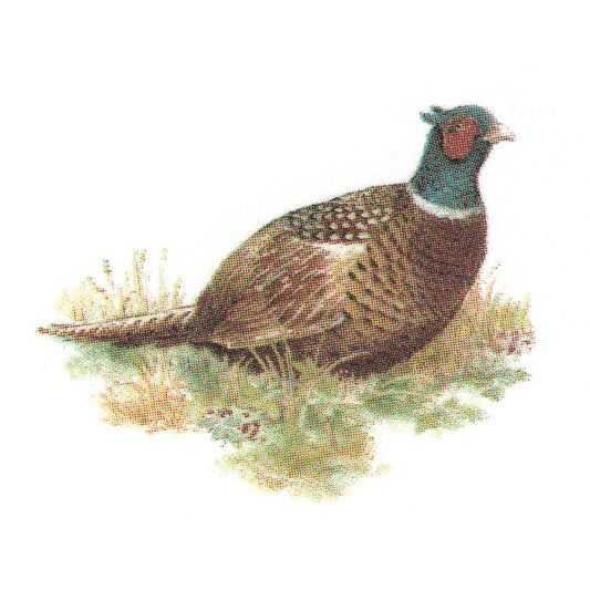 Pheasant in the Field Style B Overglaze Waterslide Ceramic Decals